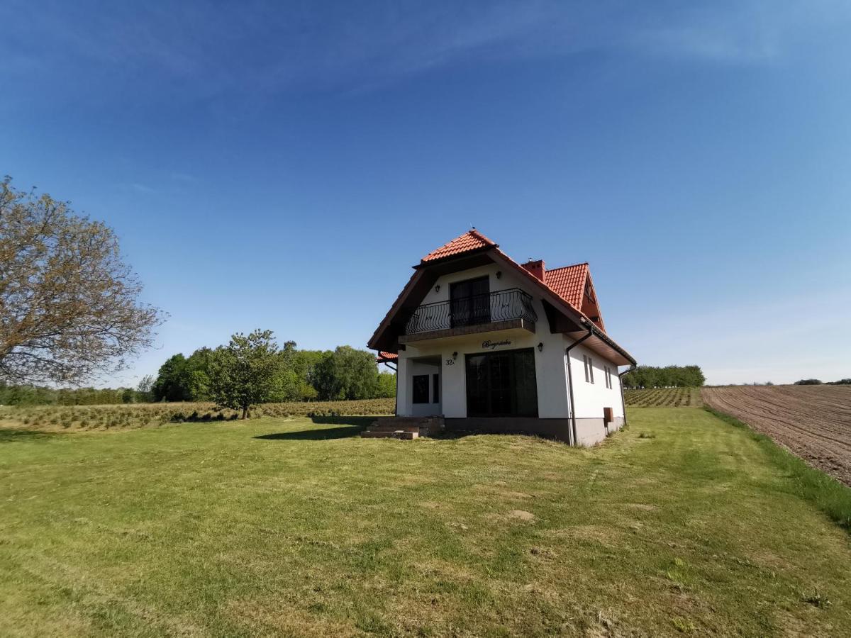 Willa Borynówka Kazimierz Dolny Exterior foto
